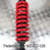 Hinterradstoßdämpfer MZ-RT-125
