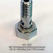 MZ-1000 Entlüftungsschraube für Kühlwasser